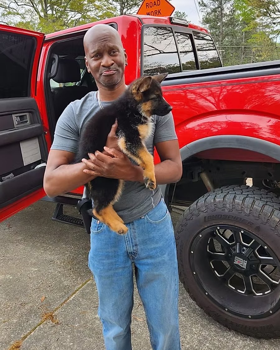 A VST German Shepherd puppy going home with their family